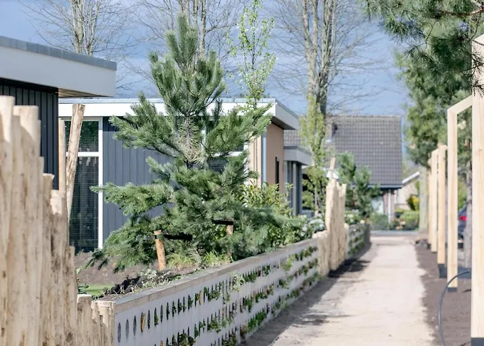 In With Wifi Tatil Evi *